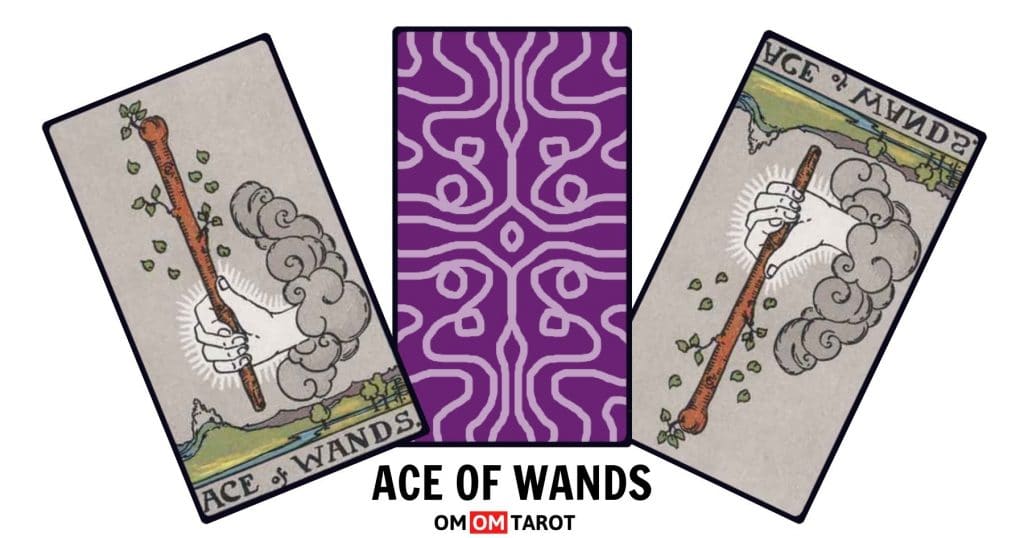 The Ace of Wands