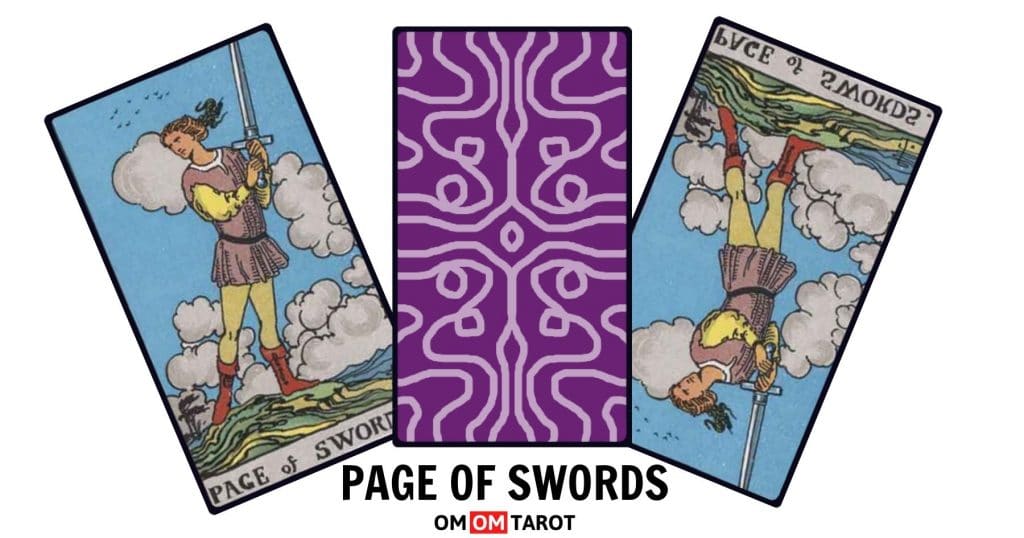 The Page of Swords