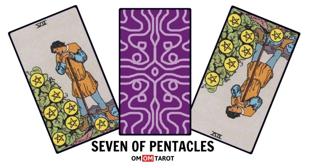 The Seven of Pentacles