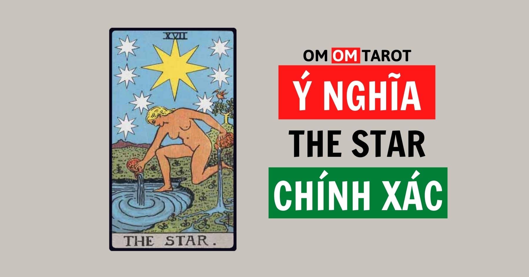 The Star Tarot là gì? Ý nghĩa lá bài The Star Tarot trong Tarot 2023