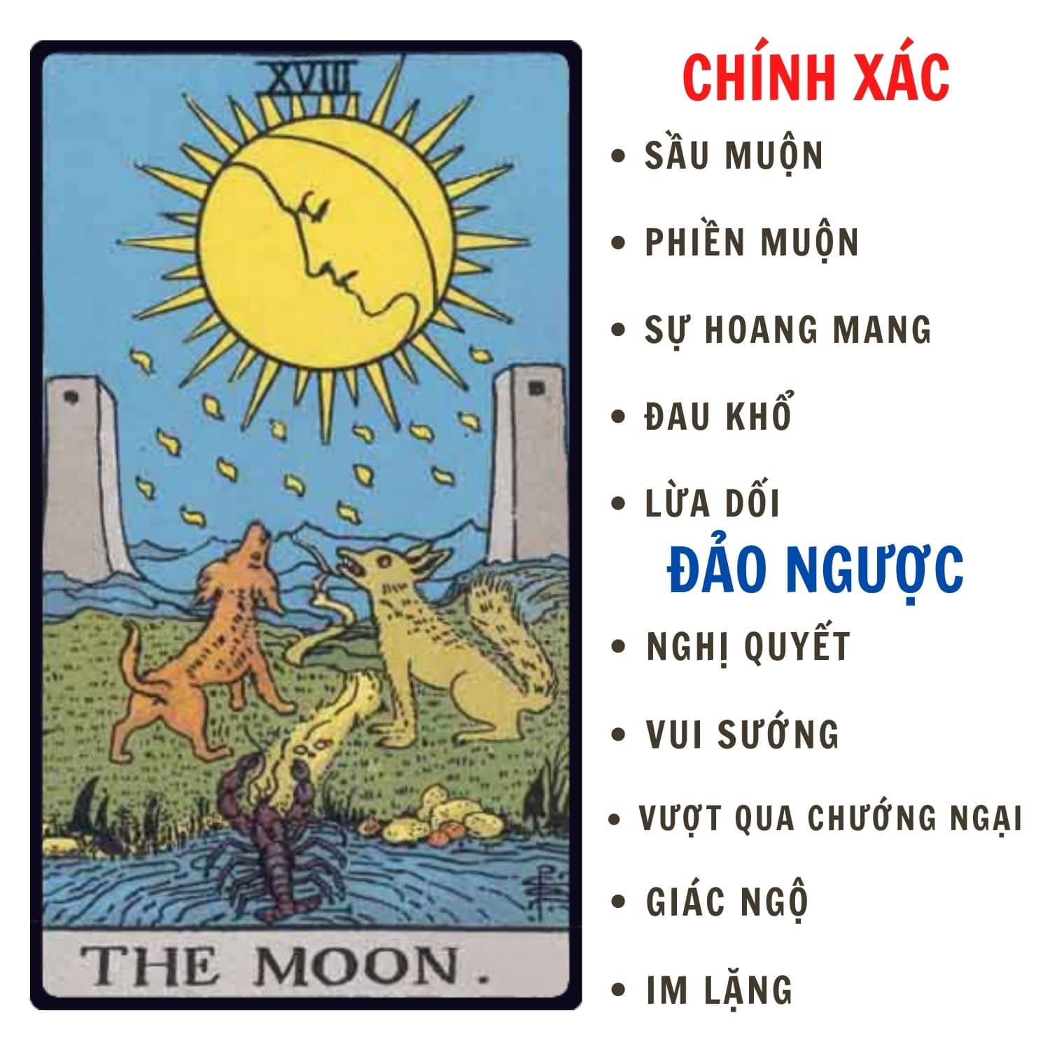 Lá Bài Tarot The Moon - Số 18