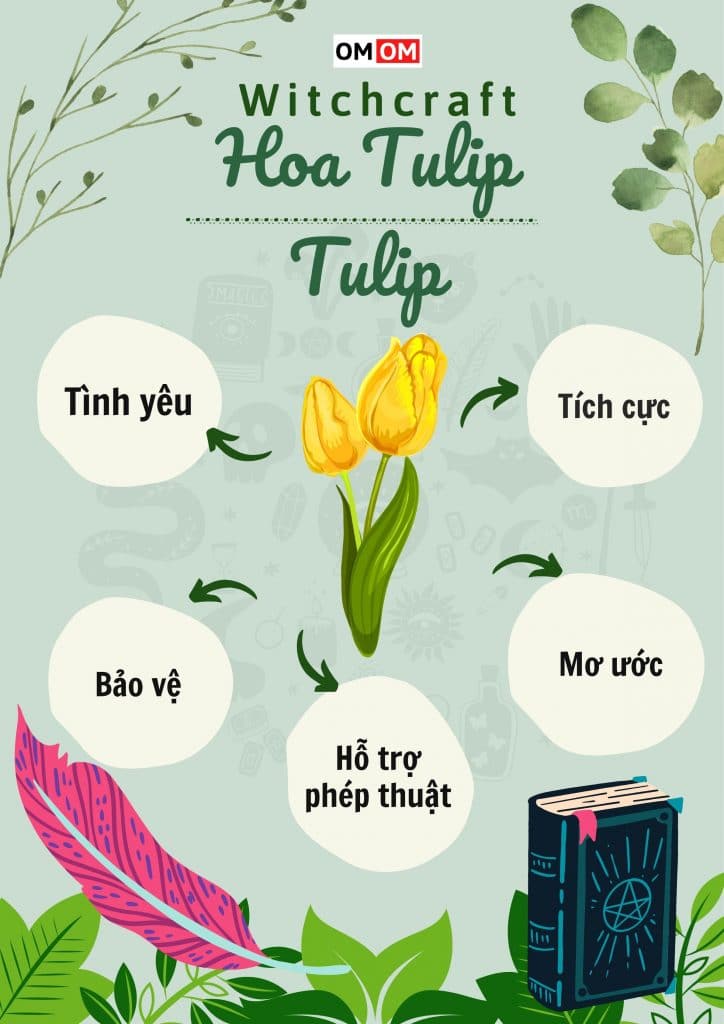 Hoa Tulip sử dụng trong Witchcraft